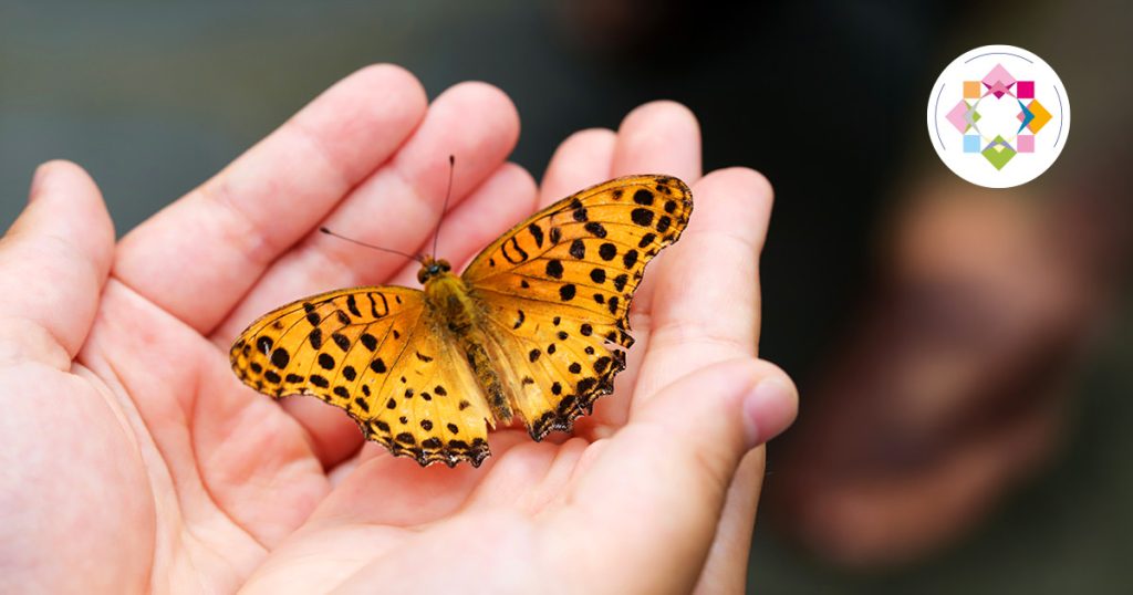 Die Zeit des Schmetterlings ist gekommen (Indigo Essences)