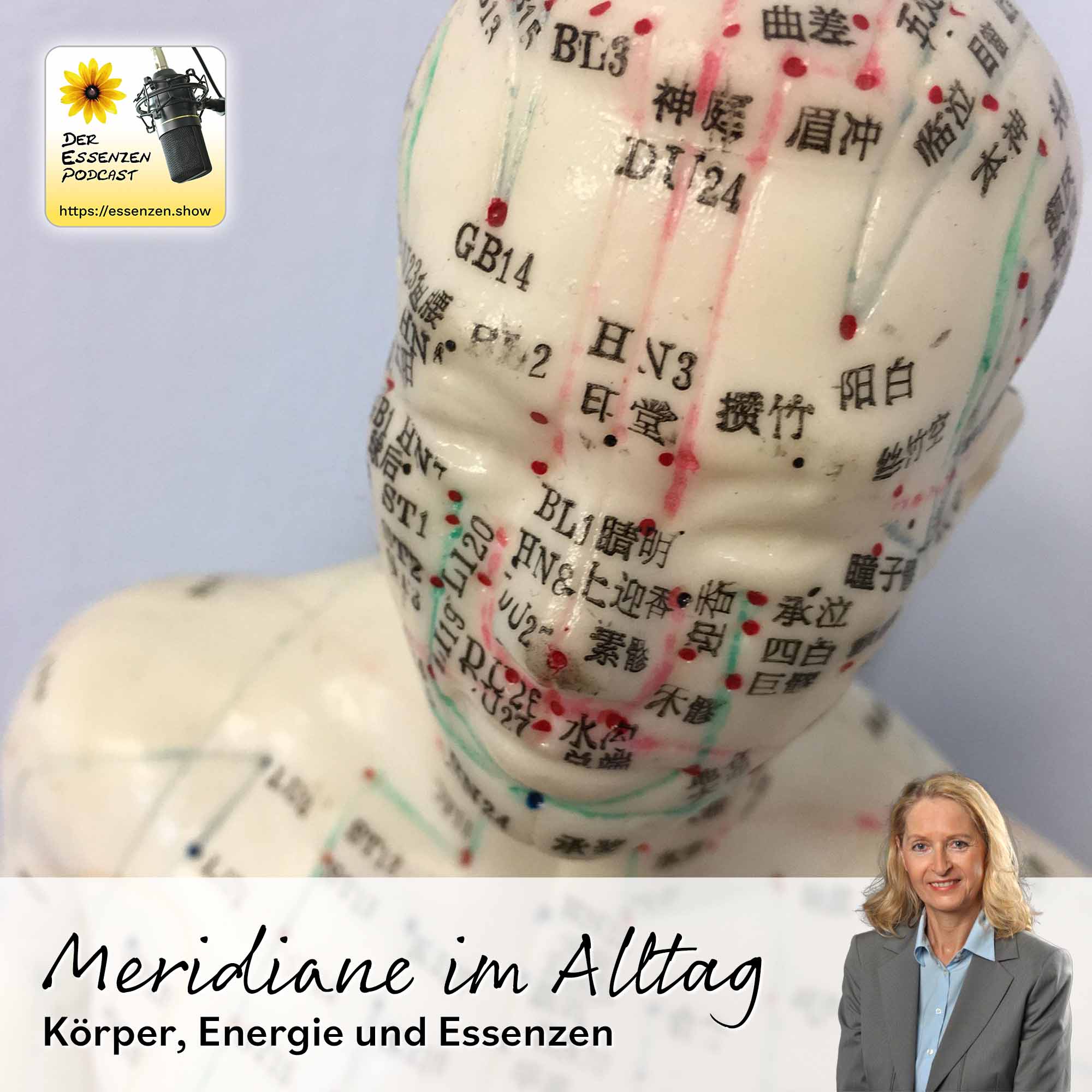 Meridiane im Alltag: Körper, Energie und Essenzen
